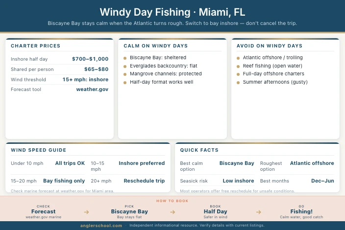 What to Book When It's Windy in Miami: Your Backup Plan