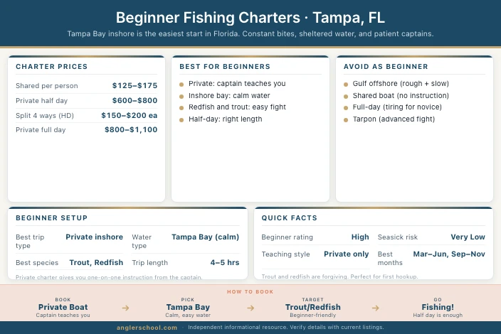 Best Beginner Fishing Charters in Tampa, FL