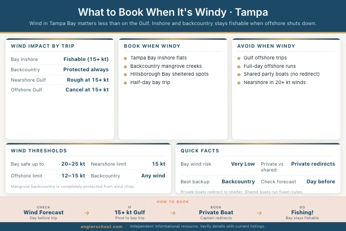 What to Book When It's Windy in Tampa, FL